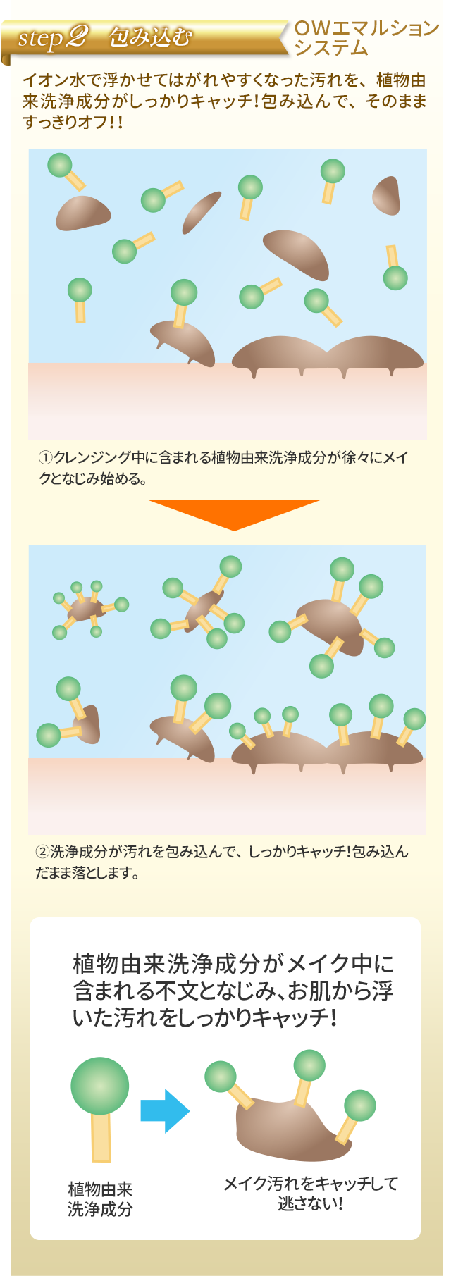 OWエマルションシステムで包み込む