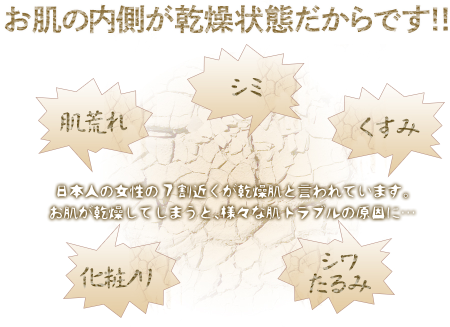 お肌の内側が乾燥状態だからです！！日本人の女性の７割近くが乾燥肌と言われています。お肌が乾燥してしまうと、様々な肌トラブルの原因に・・・